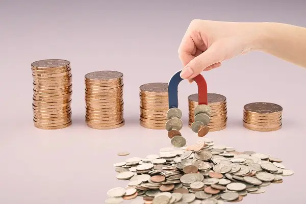 大白文化公司介绍