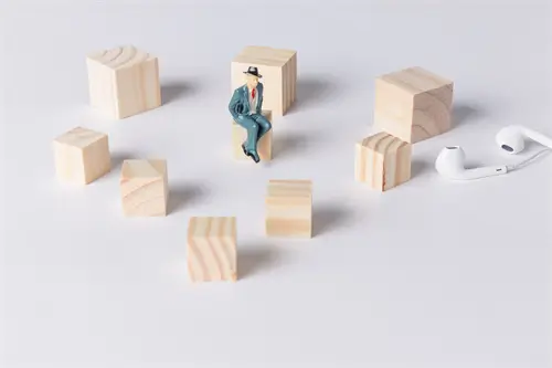 公司整体业务情况介绍